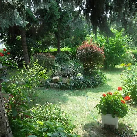 Haus Gizella 게스트하우스 3*