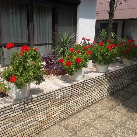 Haus Gizella 3* 하르카니