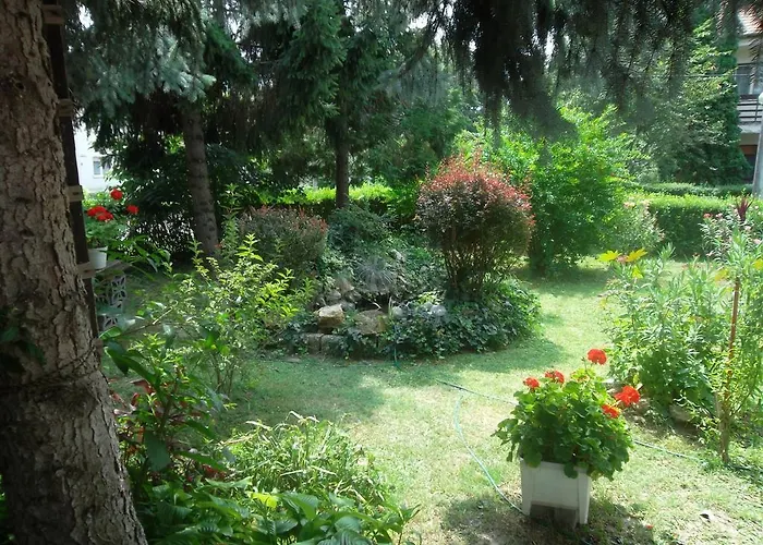 Haus Gizella Gæstehus 3*